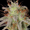 Amnesia Lemon, Фасовка: 5, изображение 2