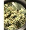 AK Skunk Auto, Фасовка: 5, изображение 5