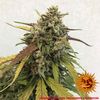 Pineapple express Auto, Фасовка: 3, изображение 4