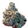 Watermelon Zum Zum, Фасовка: 3, изображение 2