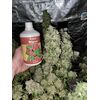 Fruit Gum, Фасовка: 3, изображение 8