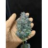 Fruit Gum, Фасовка: 3, изображение 10