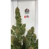 Lemonade Killer auto RBX, Фасовка: 1, изображение 5