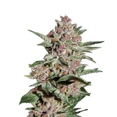 Bubba Kush, Фасовка: 3