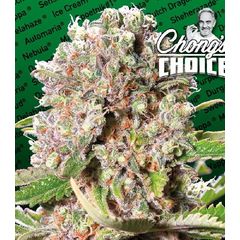 Mendocino Skunk, Фасовка: 3