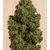 Blue Dream CBD fem, Фасовка: 3