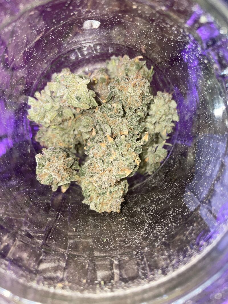 Mimosa EVO, Фасовка: 1, изображение 3