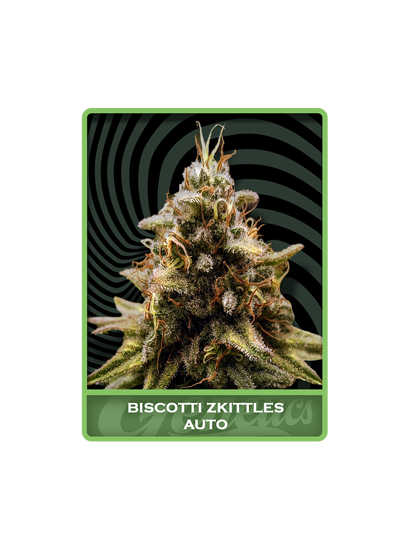 Biscotti Zkittles Auto, Фасовка: 1