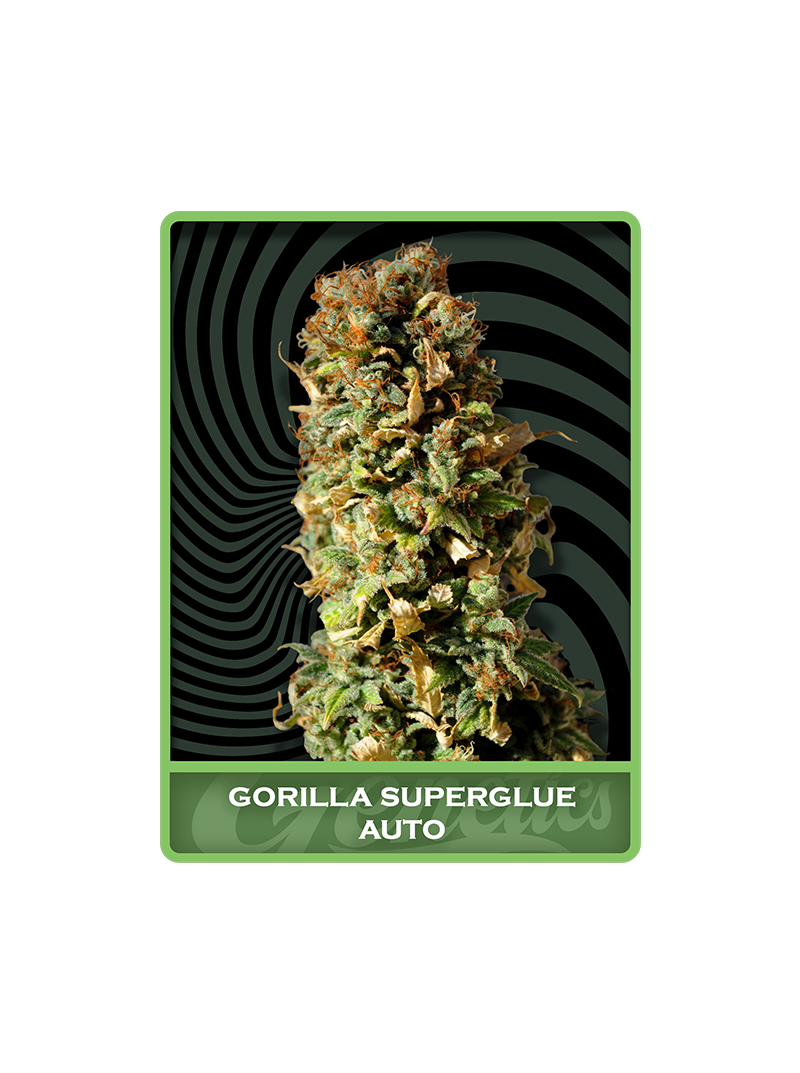 Gorilla Superglue Auto, Фасовка: 3