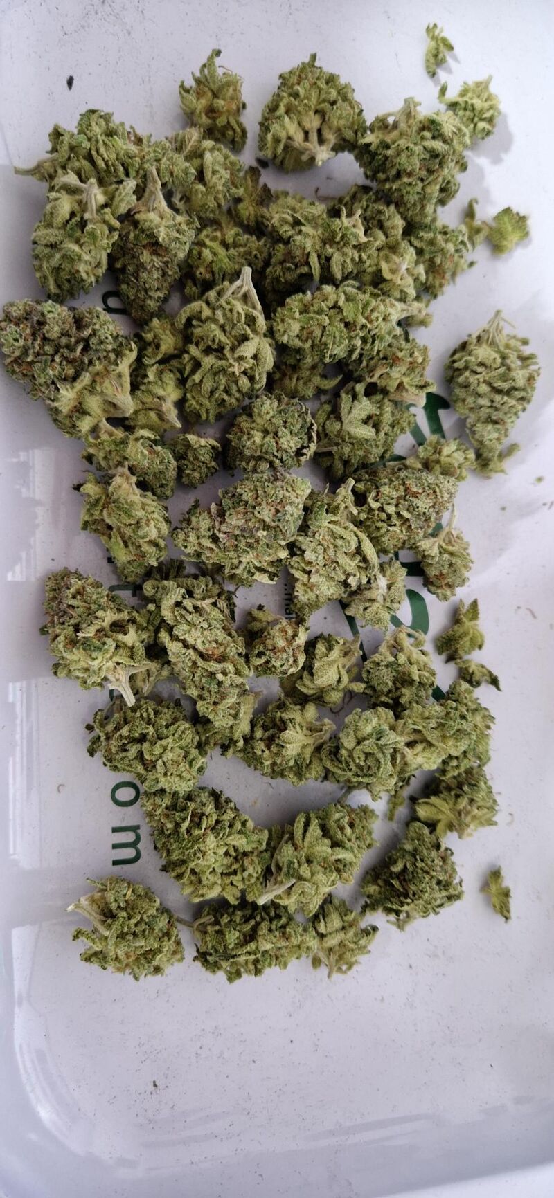 Mimosa EVO, Фасовка: 1, изображение 4