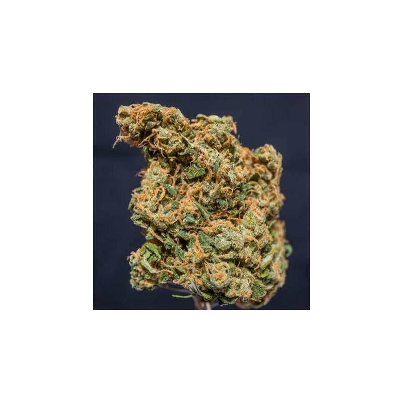 Kees' Old School Haze Reg, Фасовка: 12, изображение 3