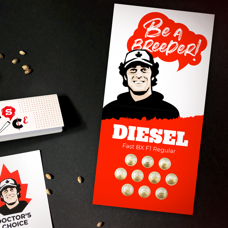 Diesel Fast F1 BX regular, Фасовка: 5, изображение 3